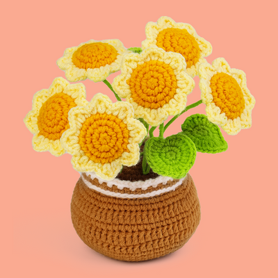 Plant Kit