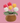 3-Color Tulip Crochet Kits