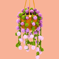 Colored Hanging Plant Crochet Kit