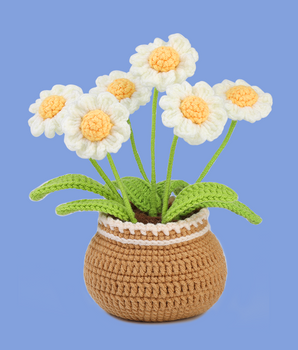 Daisy Crochet Kits