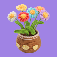 Rainbow Daisy Crochet Kits